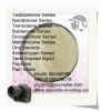 Trenbolone Base Anabolic Muscle Building Steroids Trenbolone Hormone Powder